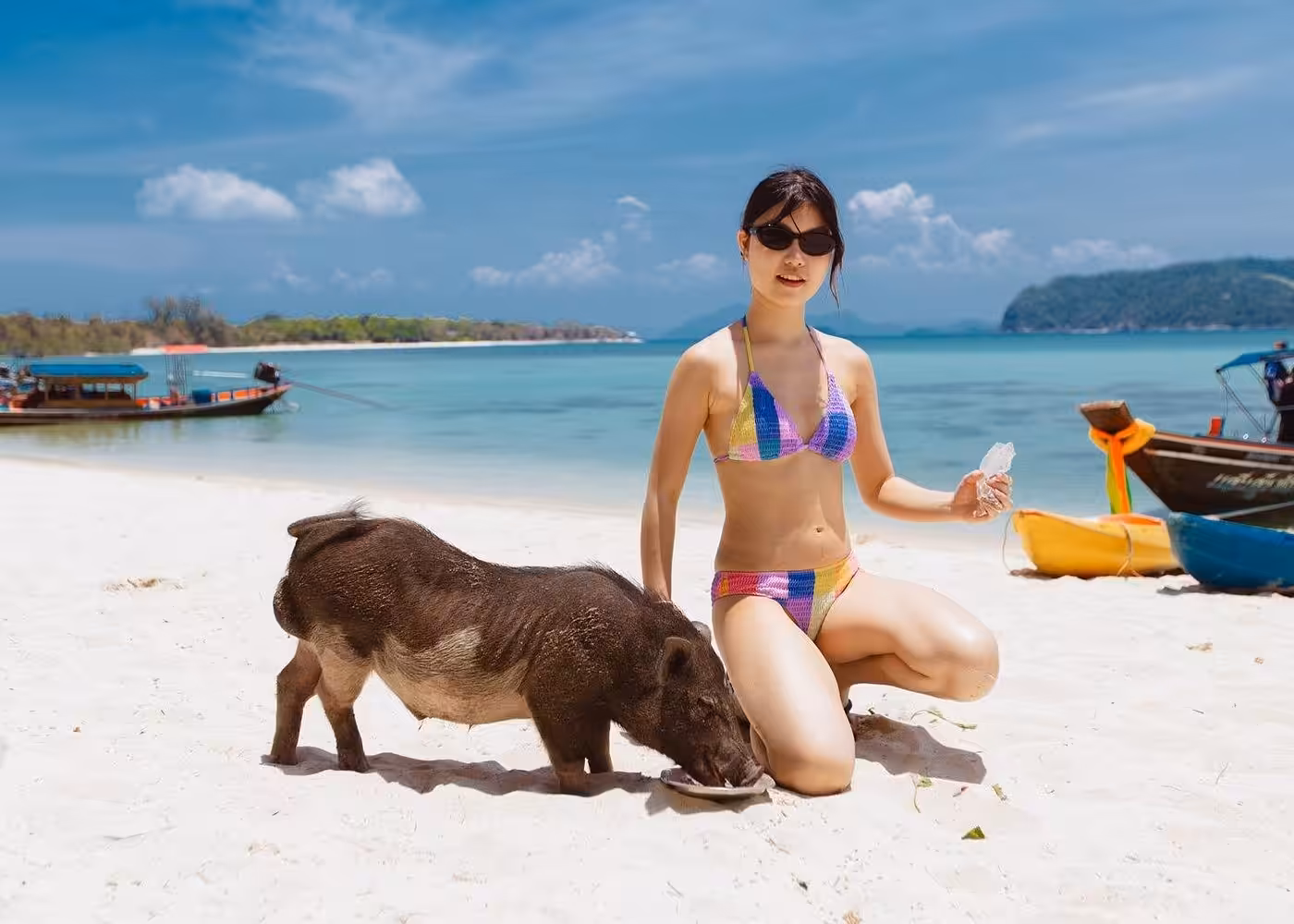 Young woman in bikini posing with friendly wild pig on pristine beach at Koh Madsum Island with longtail boats and turquoise waters