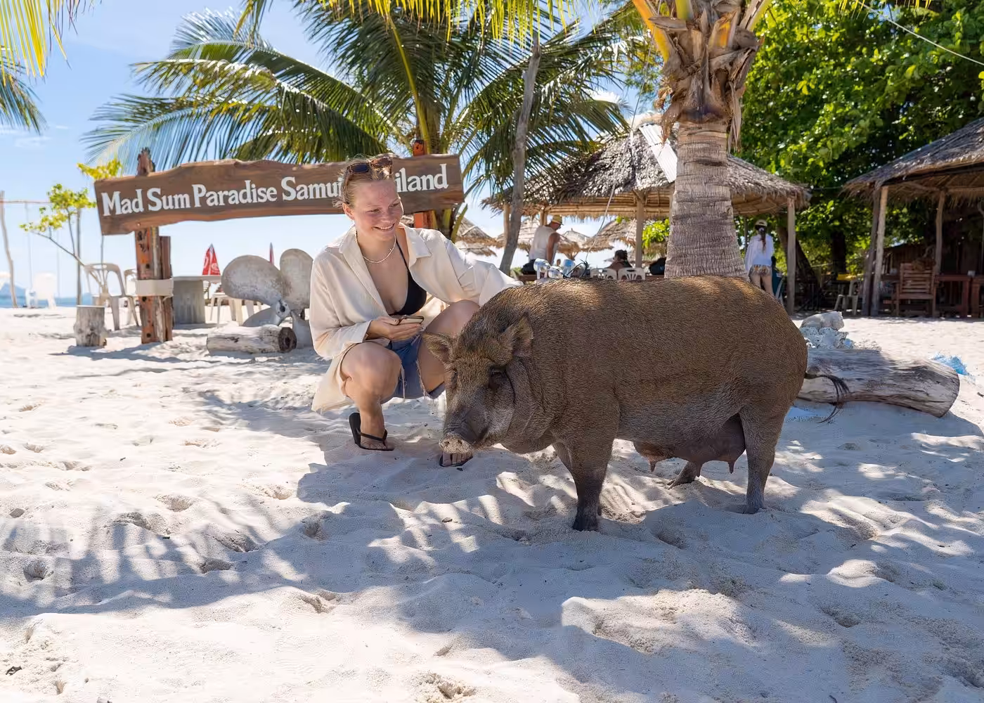 Happy tourist posing with large pig at Mad Sum Paradise Samui Island entrance sign on white sand beach